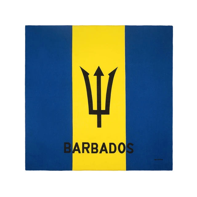 Barbados Flag Print Bandana