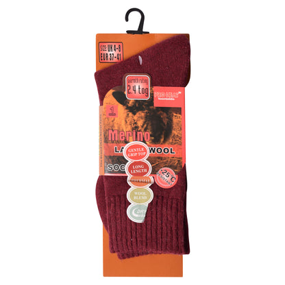 Ladies Merino Lambs Wool Socks - Plain Assorted (12 Pairs)