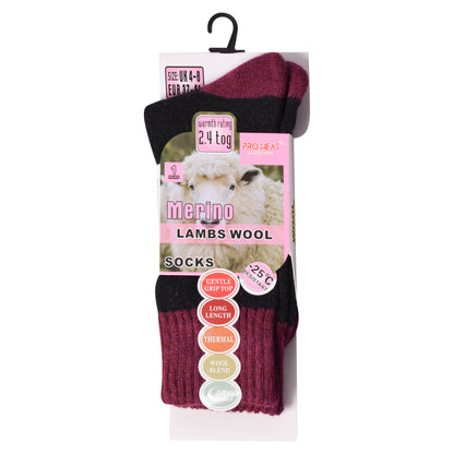 Ladies Merino Lambs Wool Socks - Two Tone (12 Pairs)