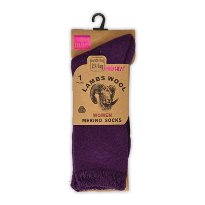 Ladies Merino Lambs Wool Socks - Assorted (12 Pairs)